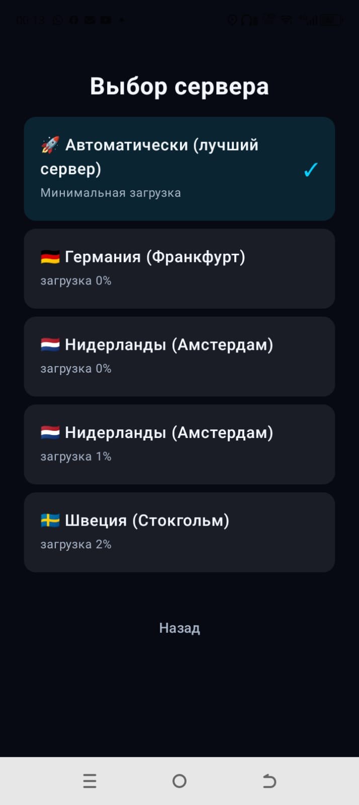 Выбор сервера в приложении HamikVPN